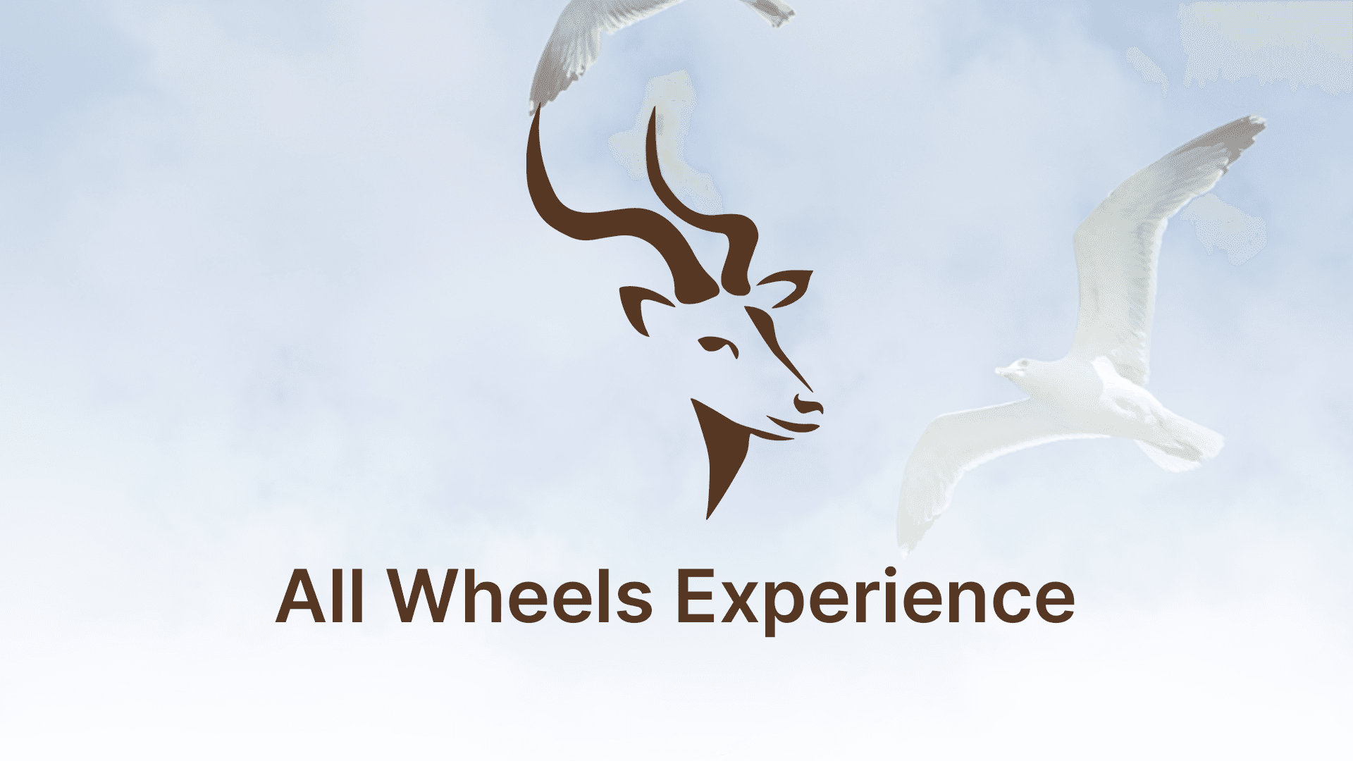 all wheels experience cover